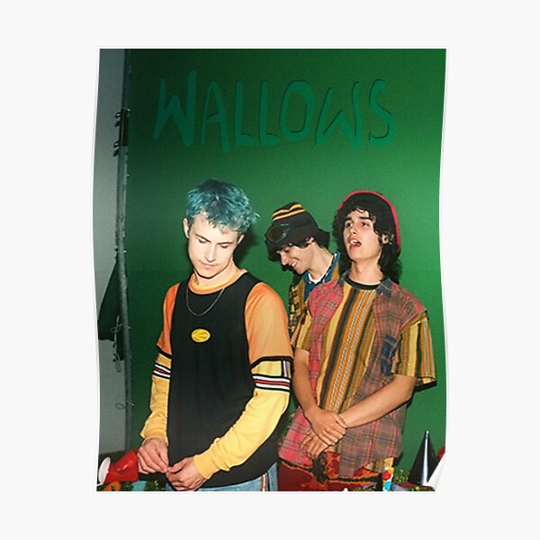 Wallows Punk Ok Poster