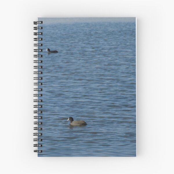Aperçu de l'œuvre Canards créée et vendue par bunlinked.