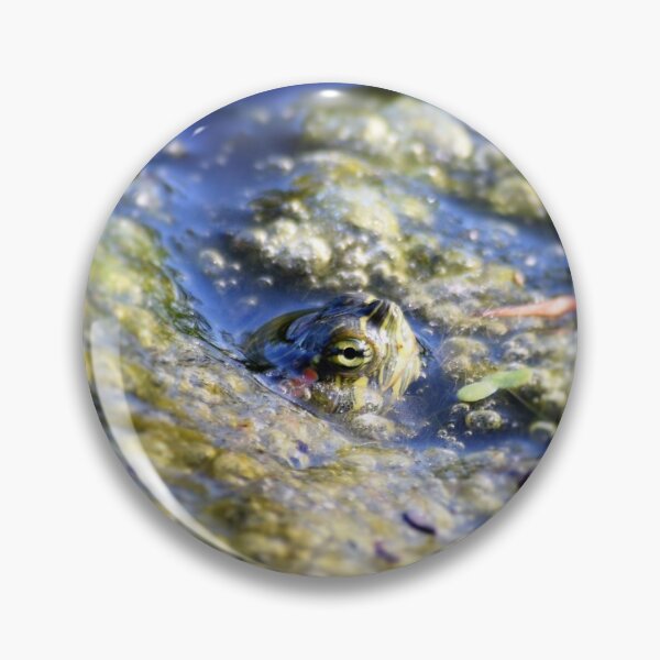 Item preview, Turtle's Eye designed and sold by DeeLeePhotos.