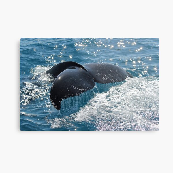 Going down Metal Print