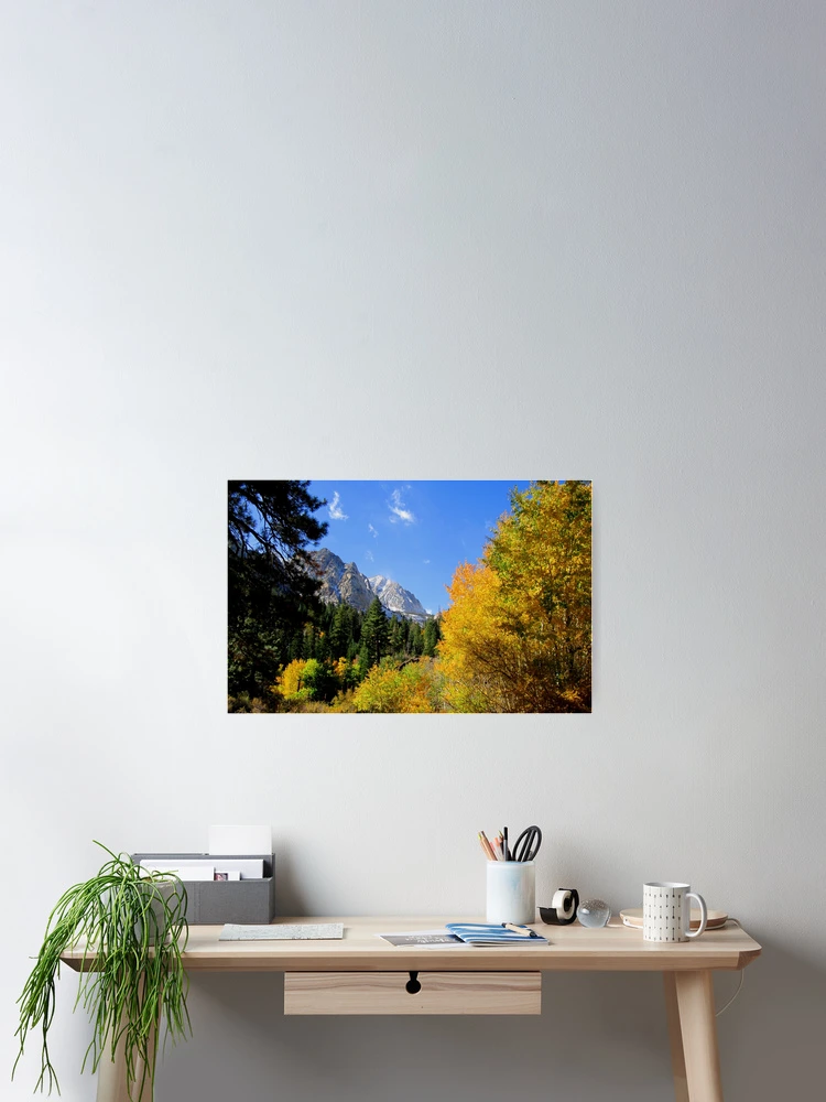 Thumbnail 2 of 3, Poster, Fall Landscape designed and sold by MARILYN DIAZ.