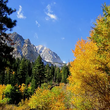 Artwork thumbnail, Fall Landscape by MARILYN DIAZ