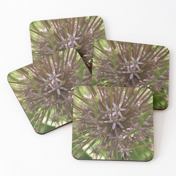 Item preview, Allium pink opening flower head bud	 designed and sold by EstelleRossetti.