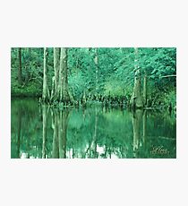 BOLD EMERALD GREEN BAYOU Photographic Print