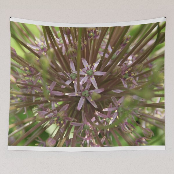 Item preview, Allium pink opening flower head bud	 designed and sold by EstelleRossetti.