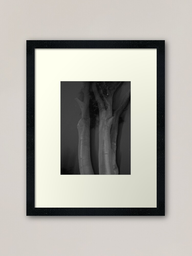 Alternative Ansicht von Alte Buche Gerahmter Kunstdruck