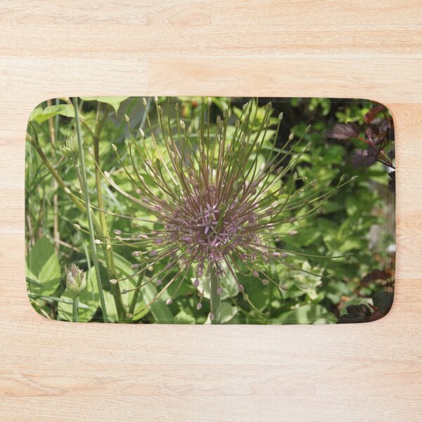 Item preview, Allium pink opening flower head bud	 designed and sold by EstelleRossetti.