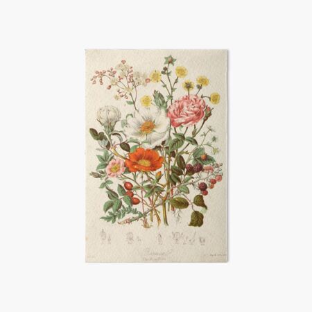 vintage flowers Art Board Print