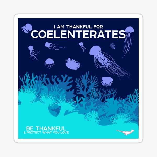 I Am Thankful For Coelenterates Sticker