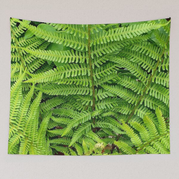 Item preview, Fern 2 designed and sold by NOX124.