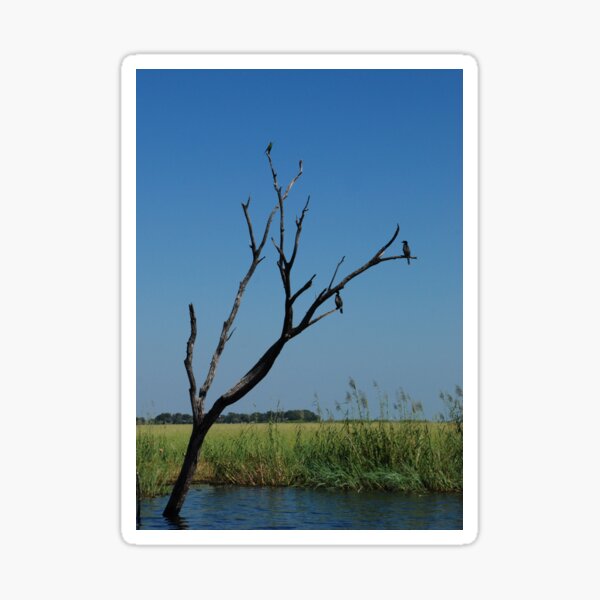 Vista previa del artículo con la obra «chobe waters», diseñado y vendido por mellychan.
