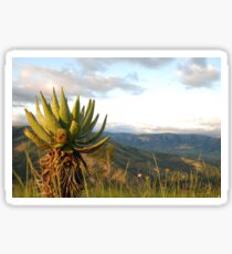 and down to the ezulwini valley Sticker