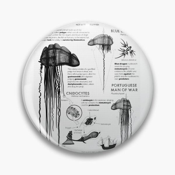 Item preview, Man o War Jellyfish designed and sold by Cariboo Design.