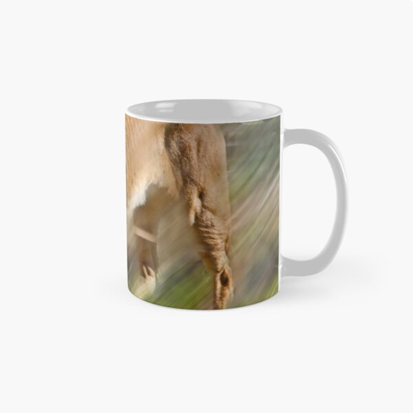 Item preview, Lioness on a prowl designed and sold by miroslava.