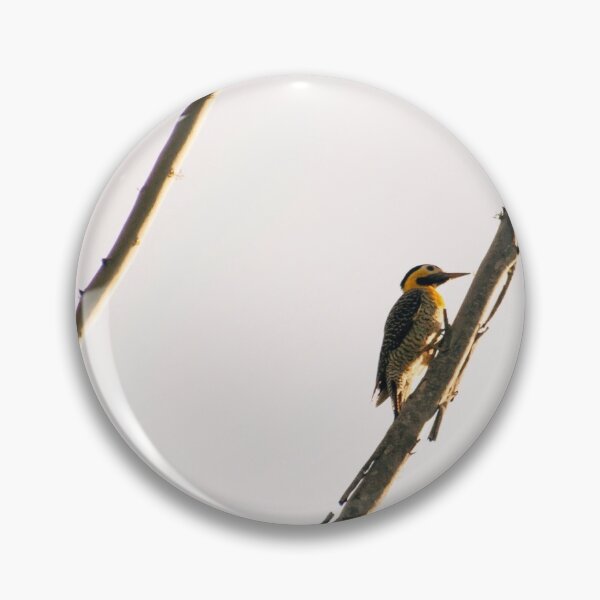 Item preview, Woodpecker designed and sold by anafrancisconi.