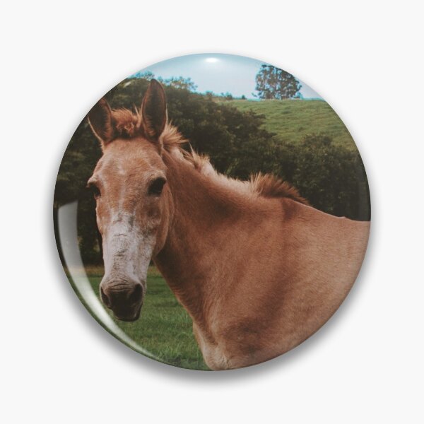 Item preview, Donkey - Animal designed and sold by anafrancisconi.