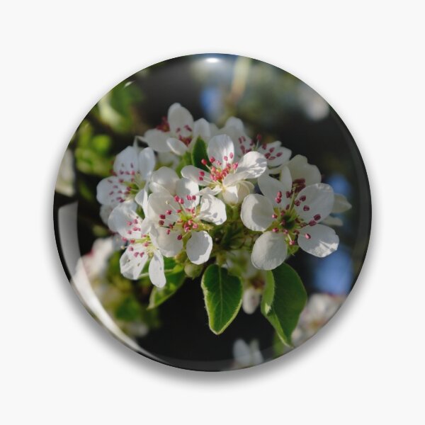 Item preview, pear flowers blossoming designed and sold by Kinisis.