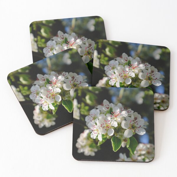 Item preview, pear flowers blossoming designed and sold by Kinisis.
