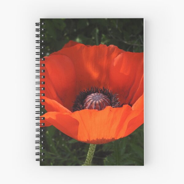 Item preview, red poppy bloom designed and sold by Stephanie  Skeem.