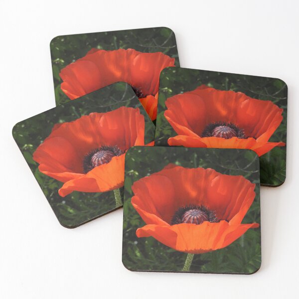 Item preview, red poppy bloom designed and sold by Stephanie  Skeem.