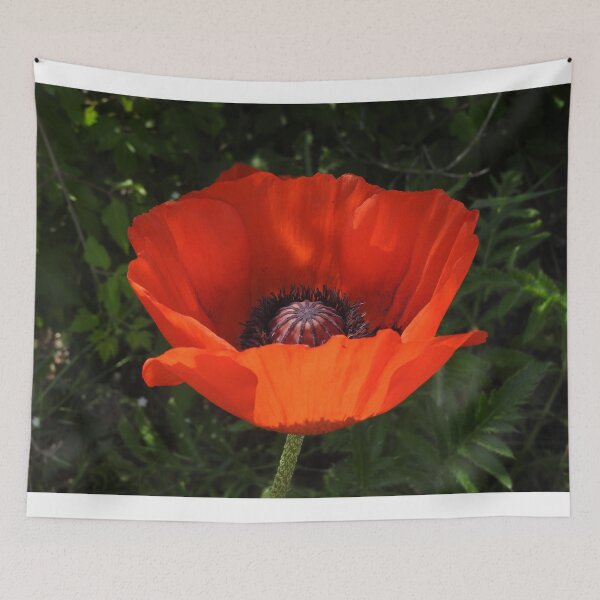 Item preview, red poppy bloom designed and sold by Stephanie  Skeem.