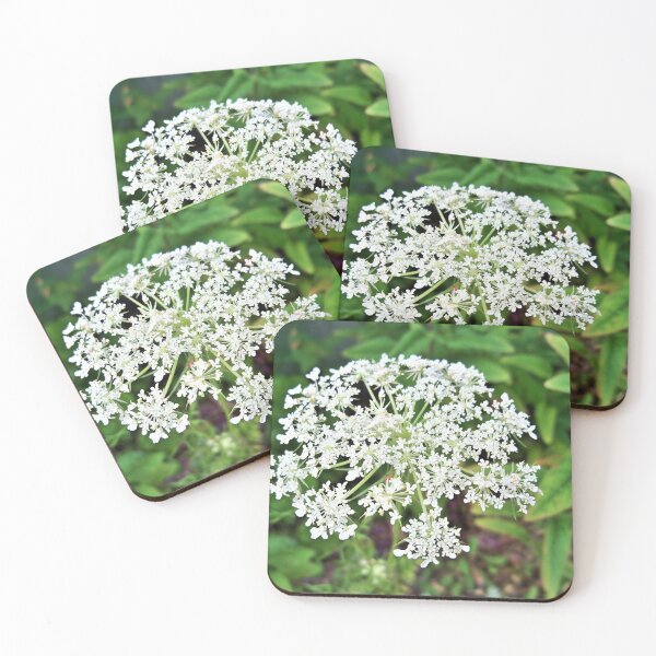 Item preview, Queen Anne's Lace designed and sold by CJGrimes.