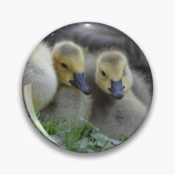Item preview, Sleepy Goslings designed and sold by ReneeKennedy.