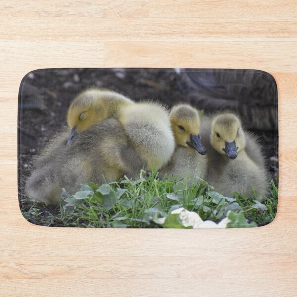 Item preview, Sleepy Goslings designed and sold by ReneeKennedy.