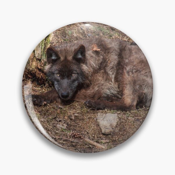 Item preview, Black Wolf designed and sold by Eunice Gibb.