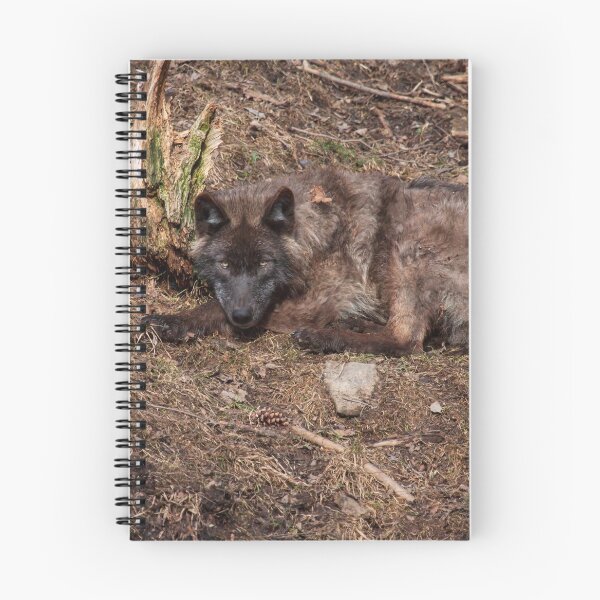 Item preview, Black Wolf designed and sold by Eunice Gibb.
