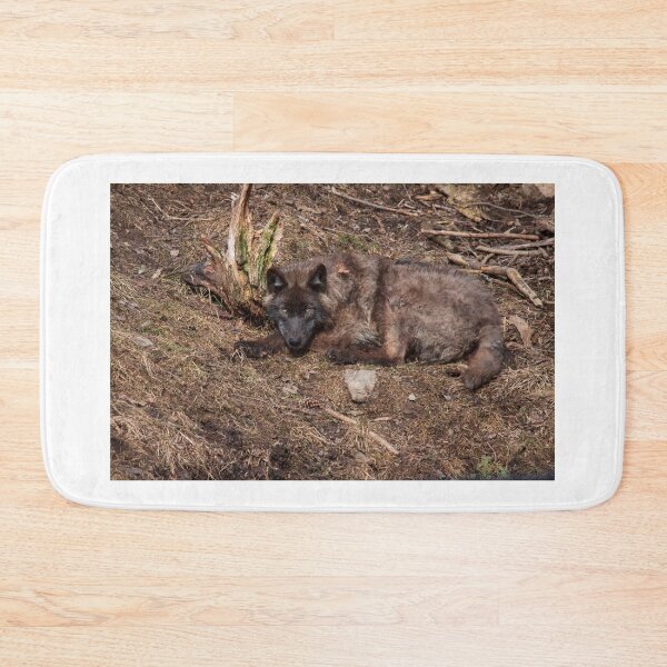 Item preview, Black Wolf designed and sold by Eunice Gibb.