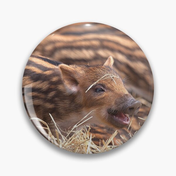 Item preview, Wild Boar Piglets designed and sold by Eunice Gibb.
