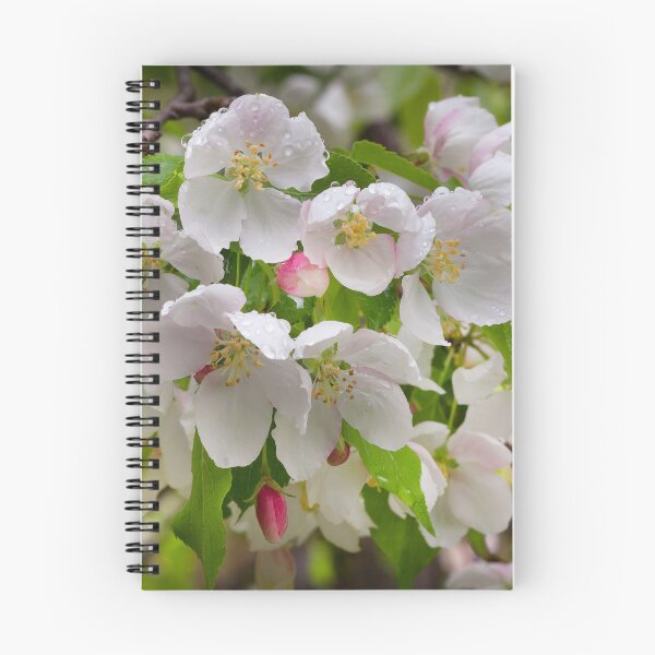 Item preview, Crabapple Blossoms designed and sold by Eunice Gibb.