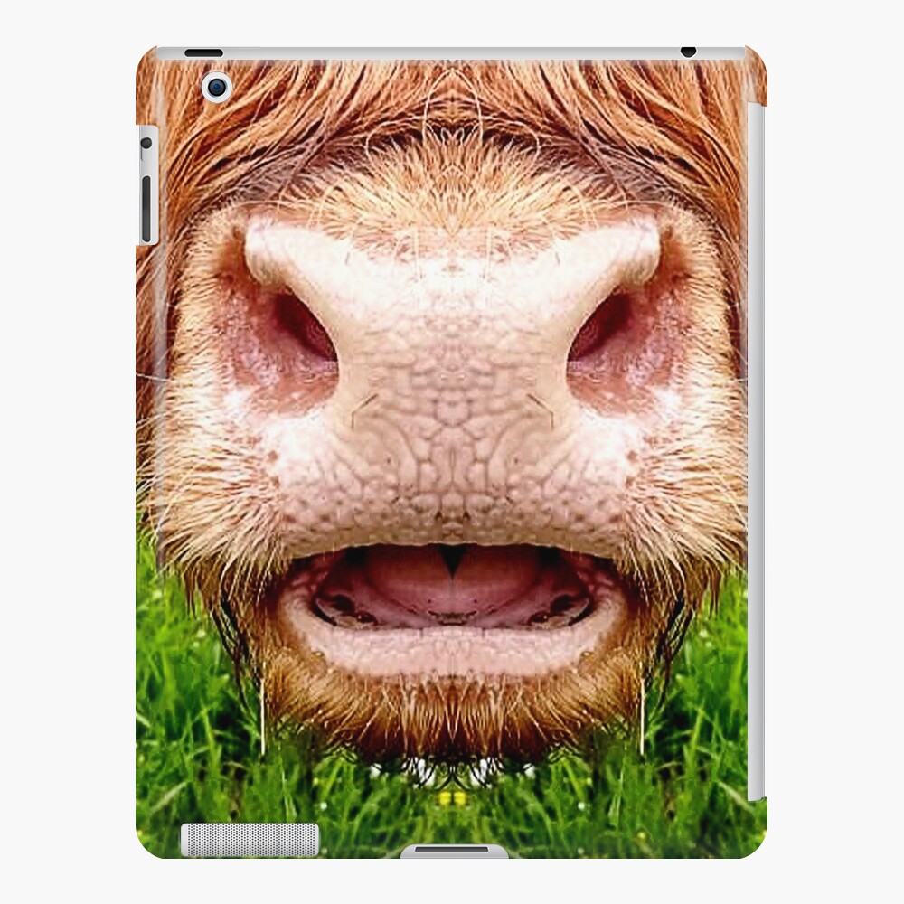 Cow Funny Face Milk Pet Cute Animals With Tongue Licking Mouth