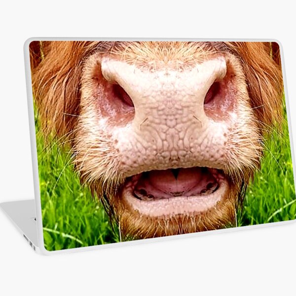 Cow Funny Face Milk Pet Cute Animals With Tongue Licking Mouth