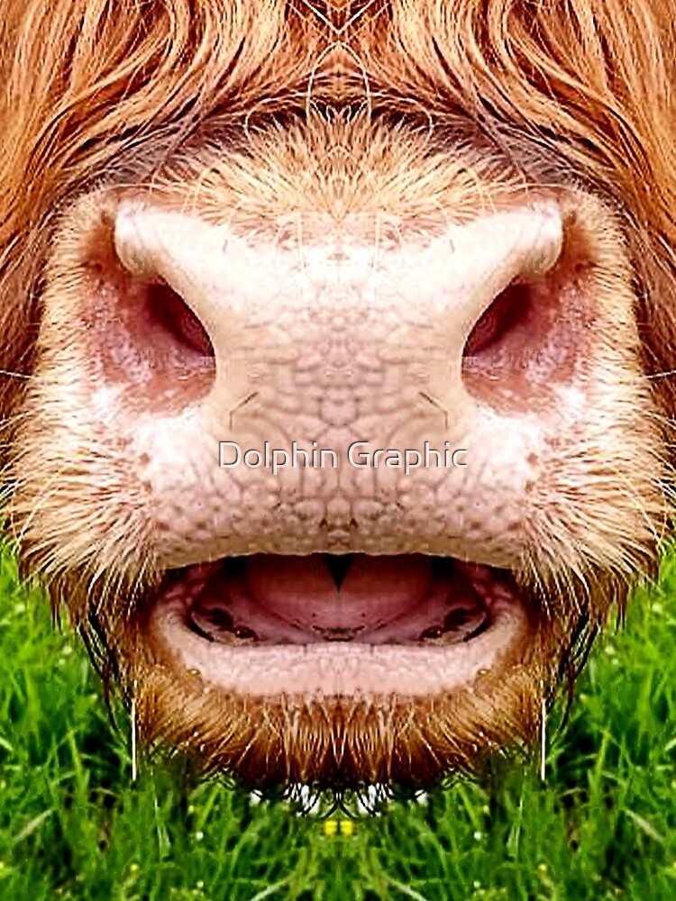 Cow Funny Face Milk Pet Cute Animals With Tongue Licking Mouth