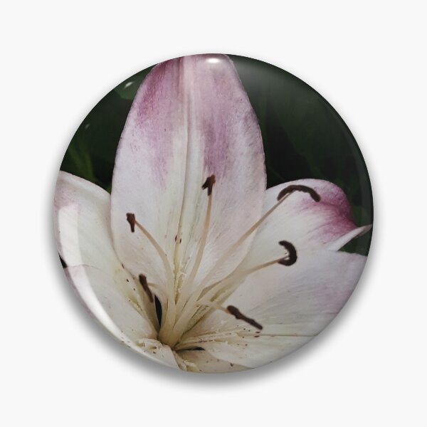 Item preview, Faded pink/purple lily designed and sold by Retaining Focus.