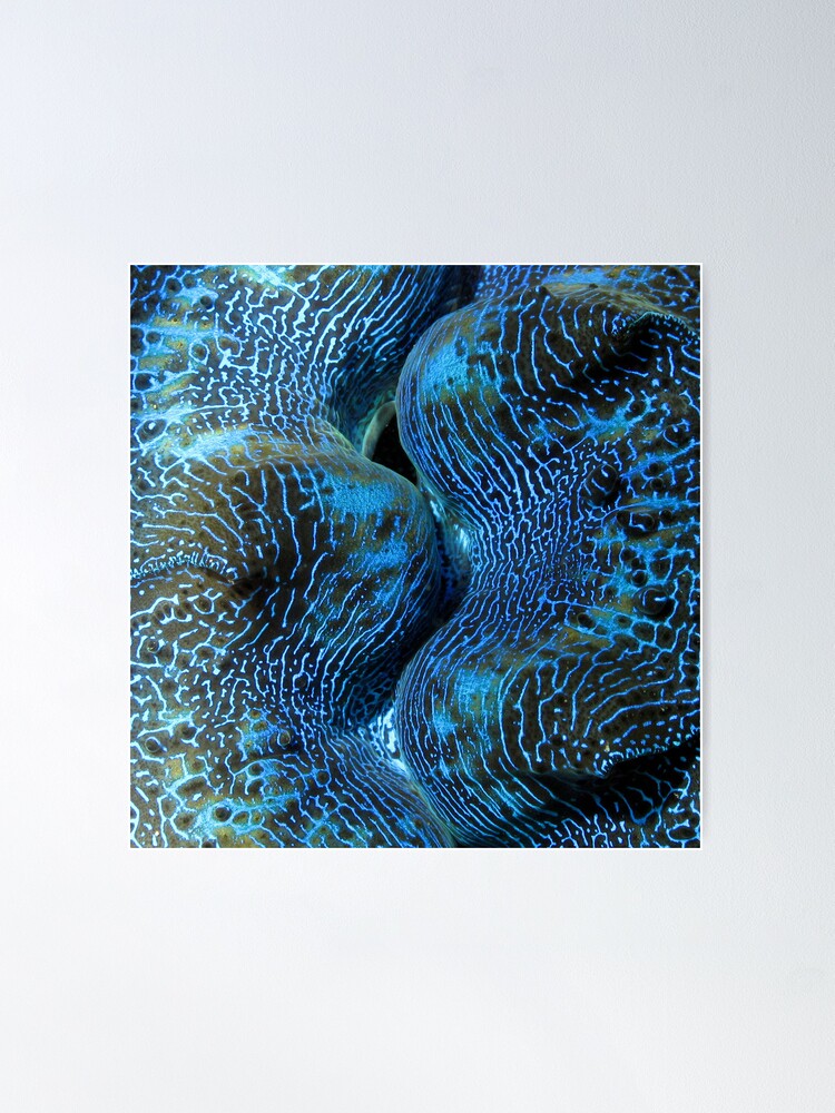 Alternate view of Blue Matrix Poster
