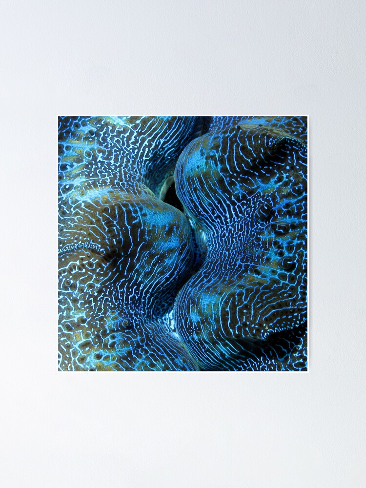 Alternate view of Blue Matrix Poster