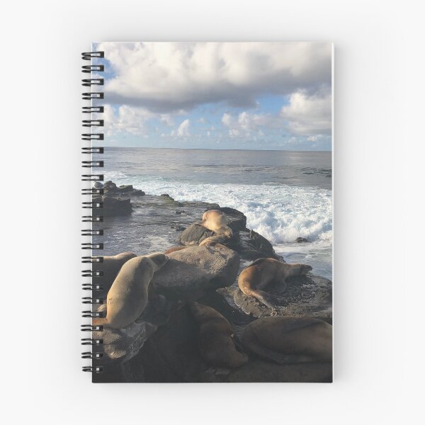 Item preview, La Jolla Sea Lions designed and sold by ColibriDesigns.