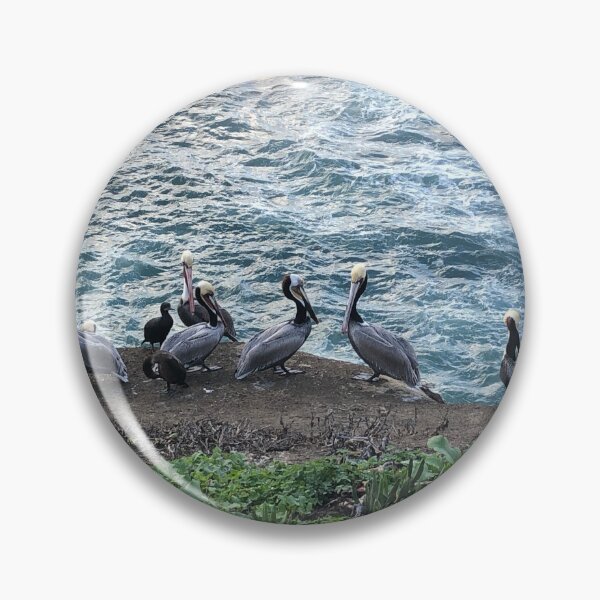 Item preview, Pelicans designed and sold by ColibriDesigns.