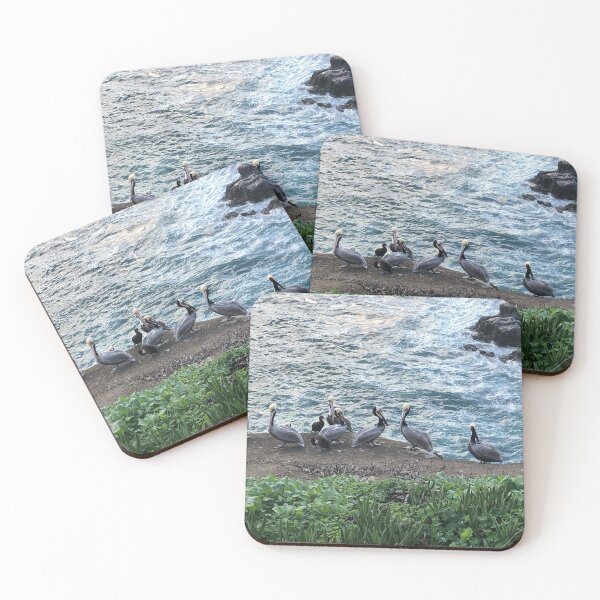 Item preview, Pelicans designed and sold by ColibriDesigns.