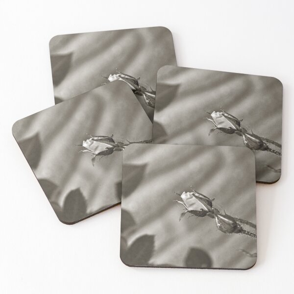 Item preview, Rosebud and Wall (Sepia) designed and sold by ZiffyPhotos.