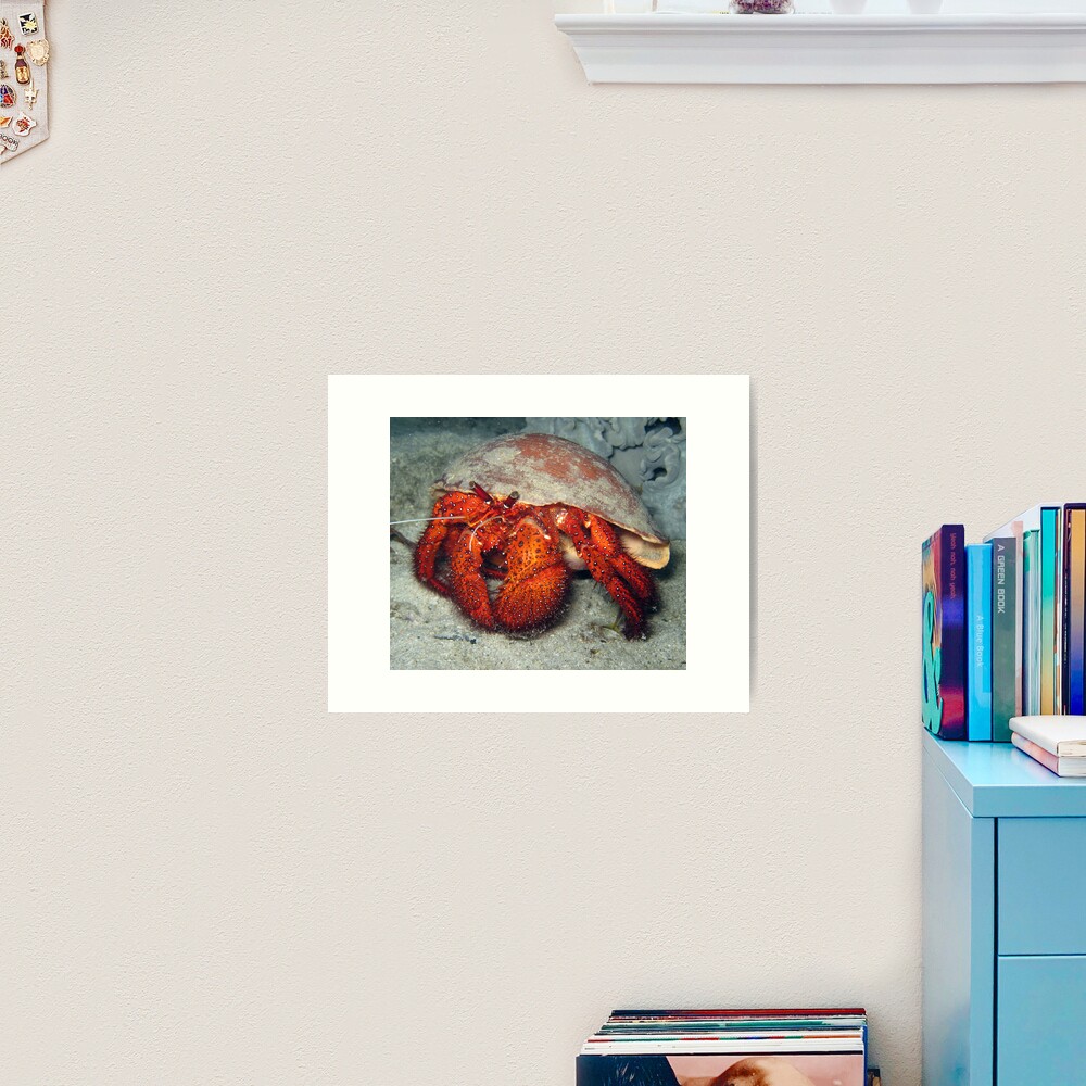 Hermit in Melo Art Print