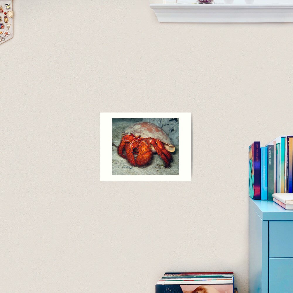 Hermit in Melo Art Print