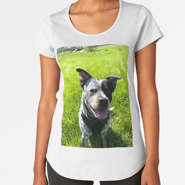 blue heeler gifts merchandise redbubble