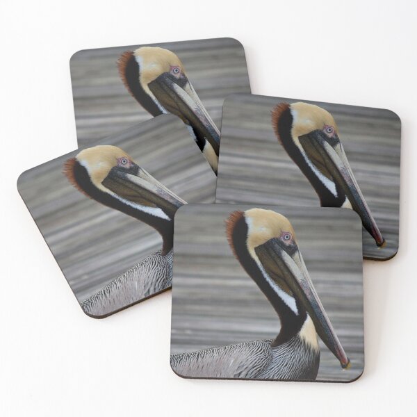 Item preview, Hello Pelican designed and sold by Jacquelie.