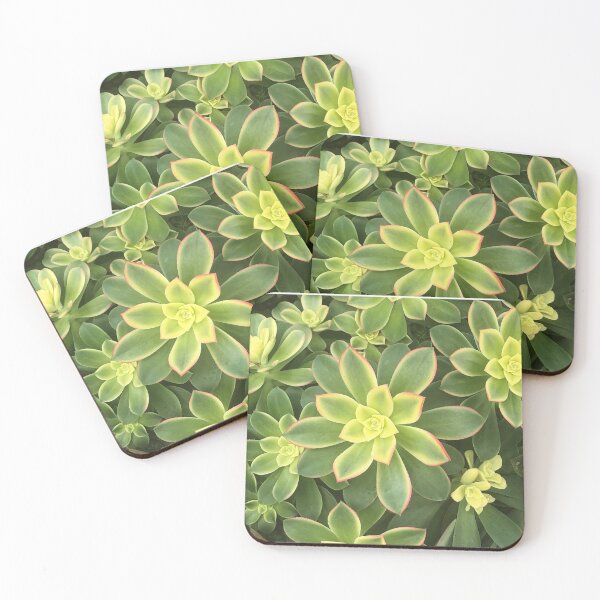 Item preview, Succulents designed and sold by ColibriDesigns.