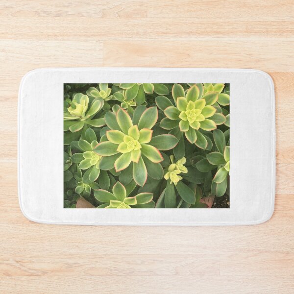 Item preview, Succulents designed and sold by ColibriDesigns.