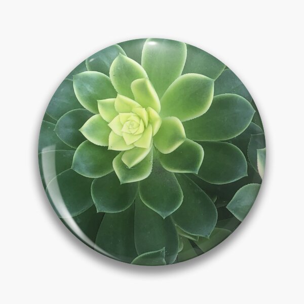 Item preview, Succulent Garden designed and sold by ColibriDesigns.